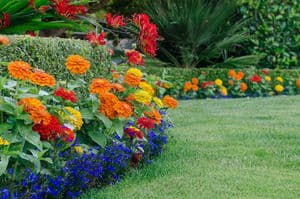 AdamNoble Confidential Landscaping Business Valuation 
